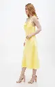 DSC04413.webp